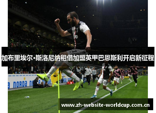 加布里埃尔·斯洛尼纳租借加盟英甲巴恩斯利开启新征程 加布里埃尔·斯洛尼纳租借加盟英甲巴恩斯利开启新征程